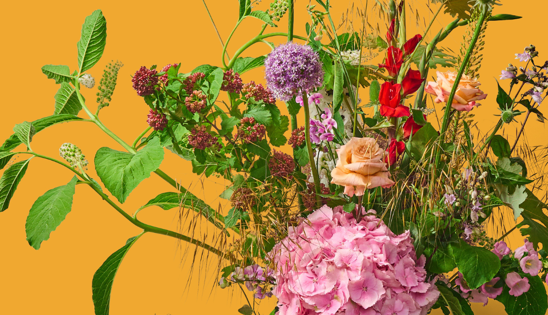 Bloemen