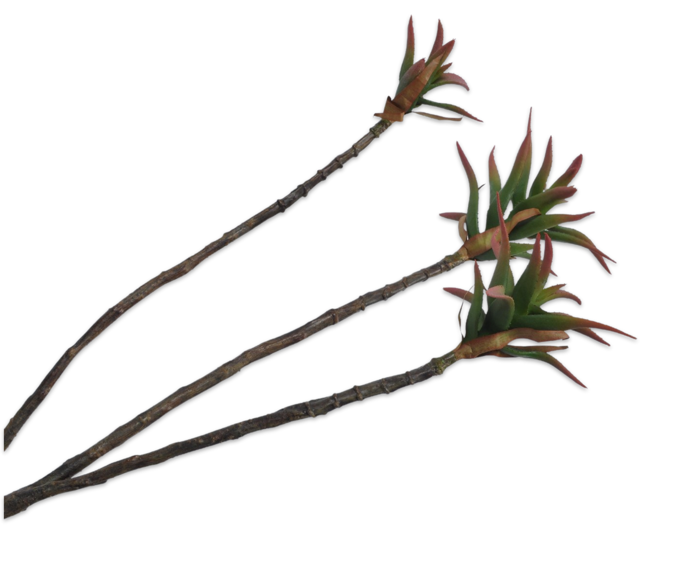 Aloe Tak 96cm (Paars/Groen)