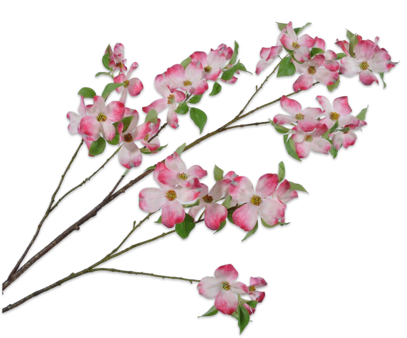 Dogwood Tak 115cm (Roze)