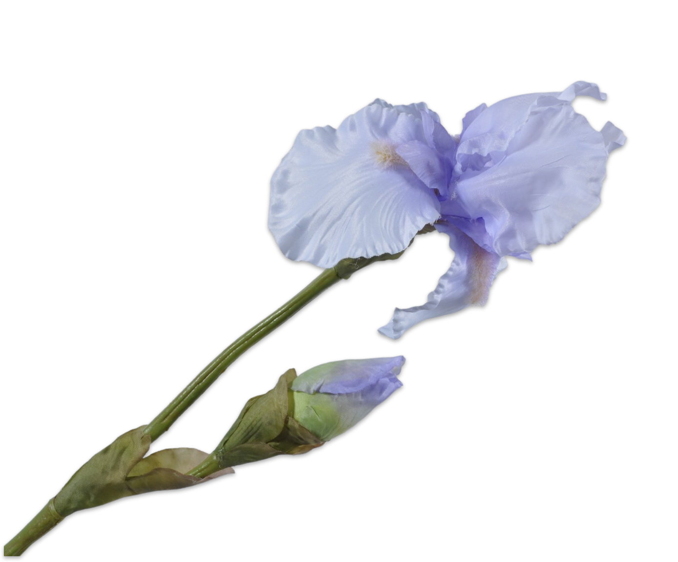 Iris tak LAVENDEL 85 cm