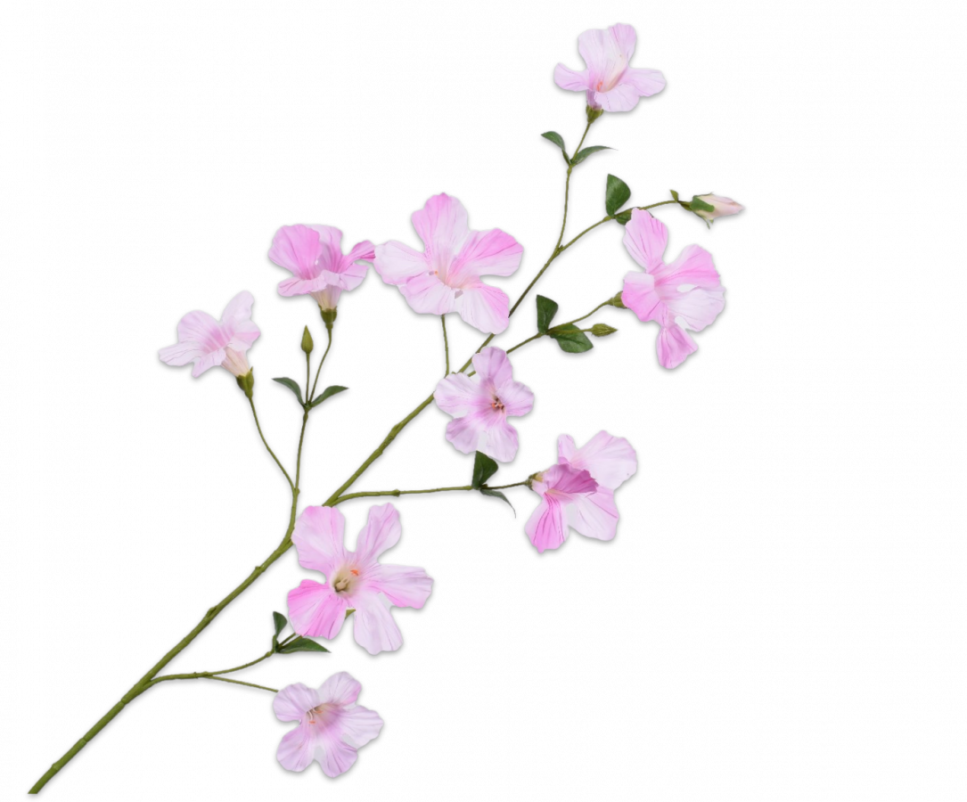 Mandevilla Tak 114cm (Roze Light)