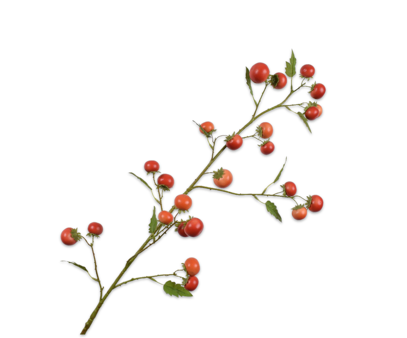 Tomaat Tak 113cm (Rood)