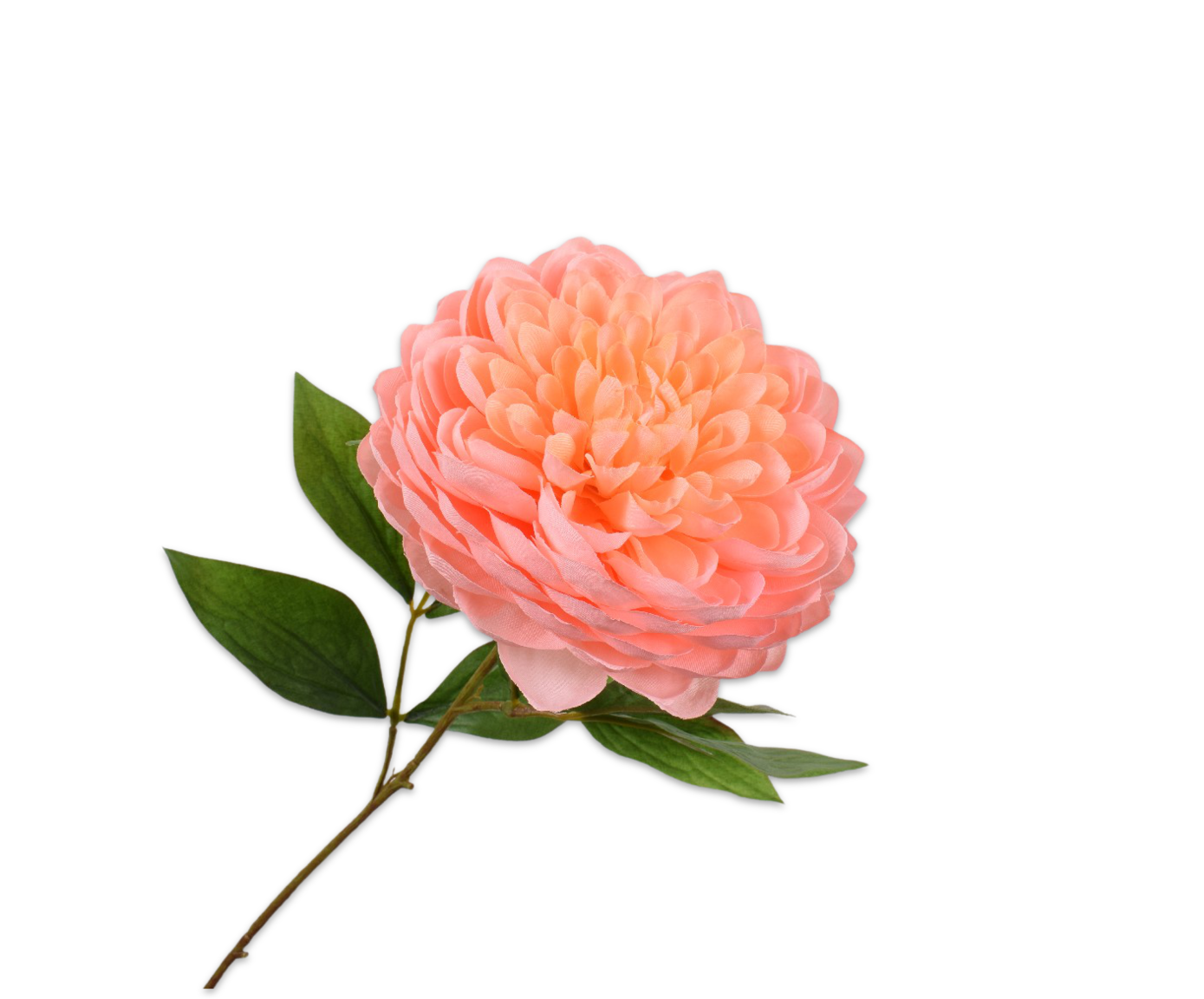 Dahlia PERZIK 62 cm