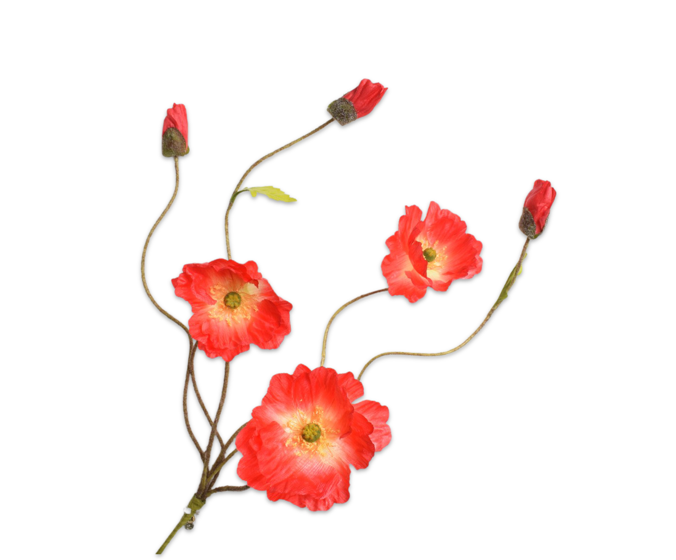 Klaproos tak ROOD/ORANJE 55 cm