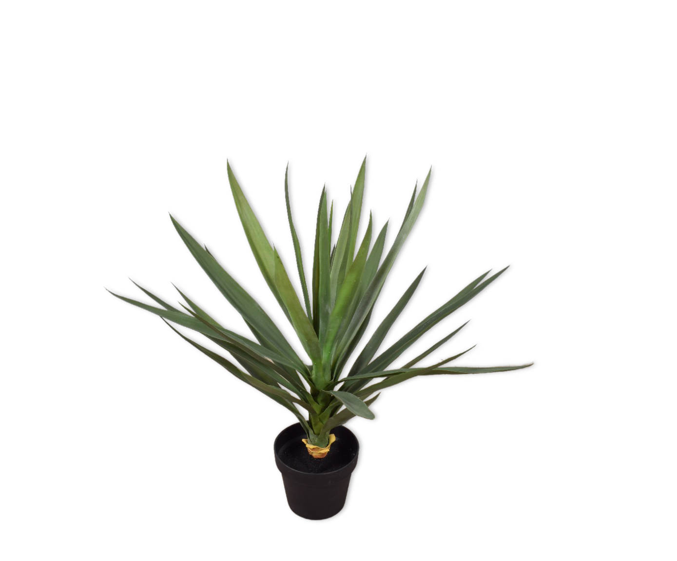 Yucca 70cm (Groen)
