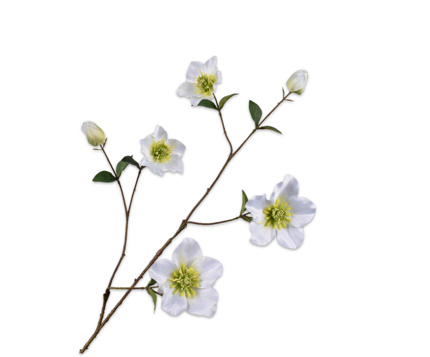 Helleborus tak CREME/GROEN 93 cm