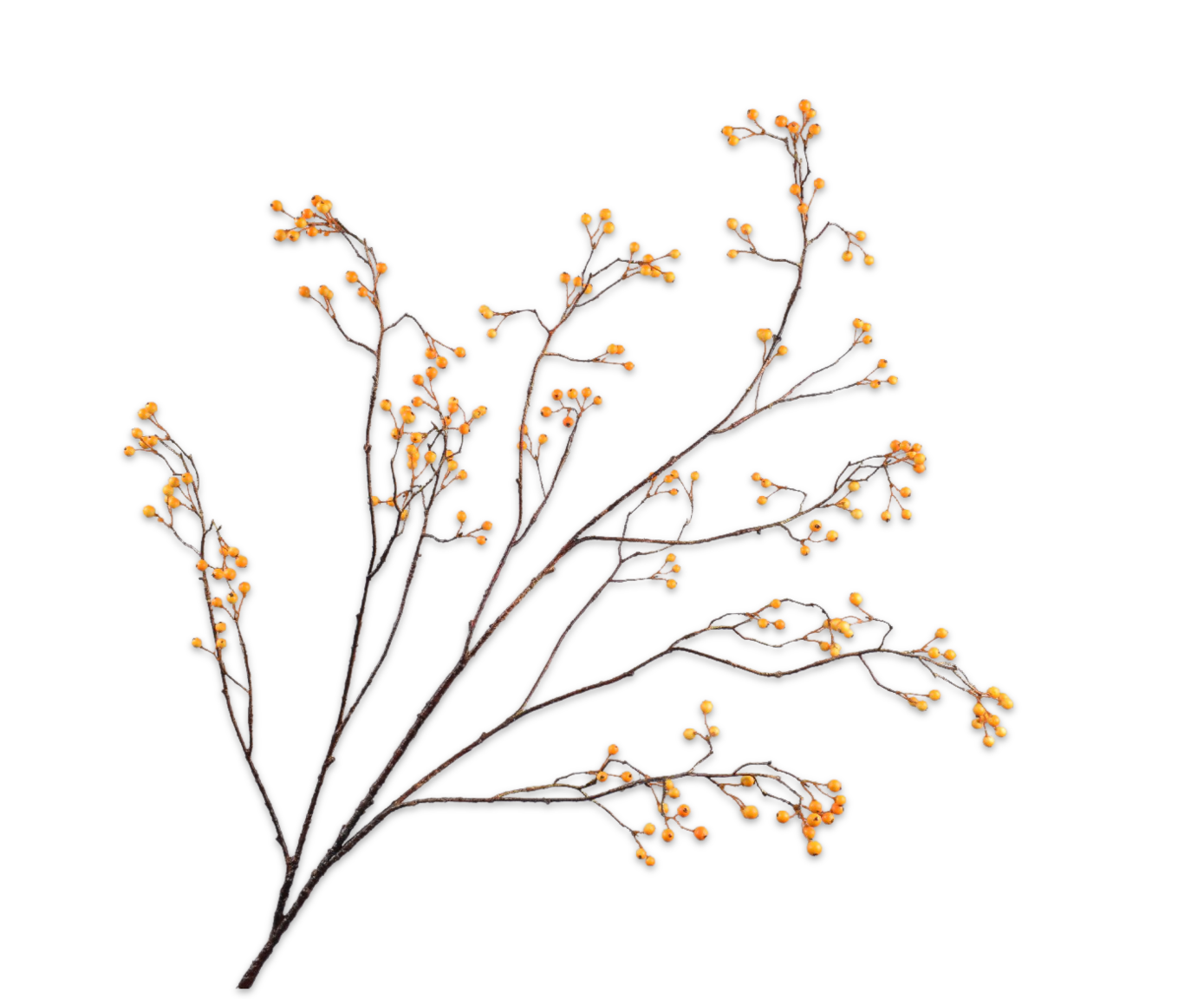 Bessentak 133cm (Oranje)