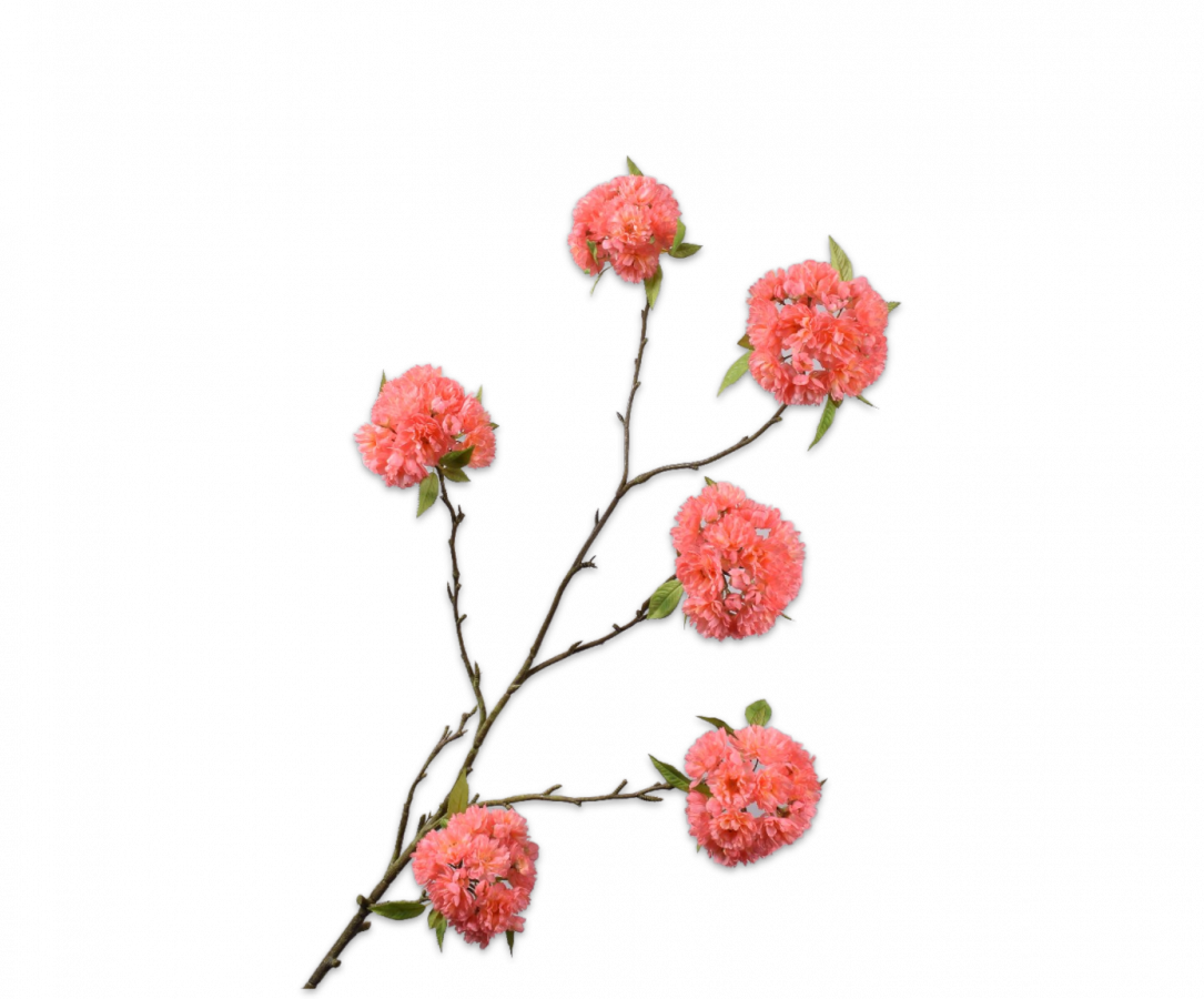 Bloesem tak perzik 137 cm