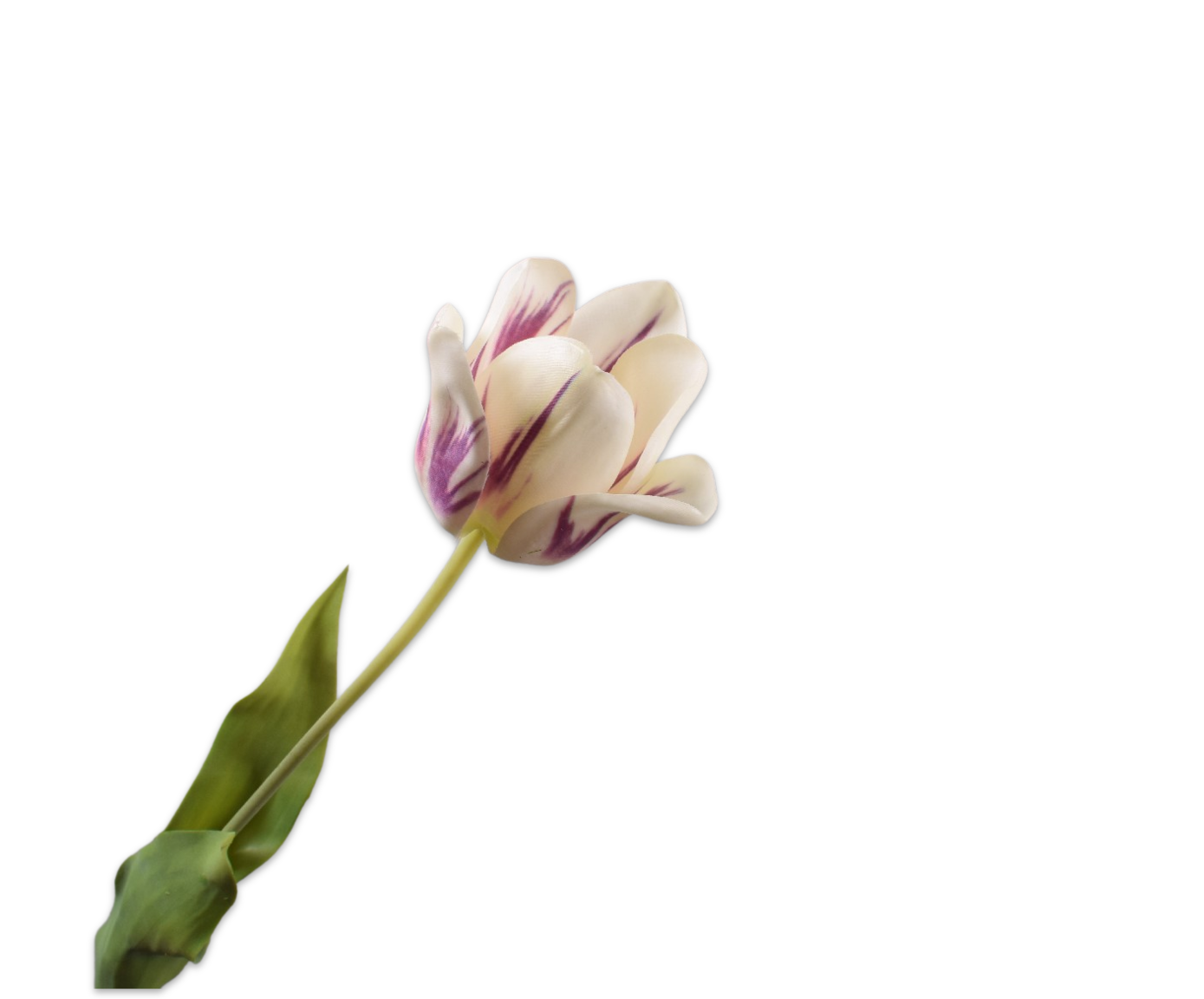 Tulp Steel Real Touch 71cm (Paars Light)