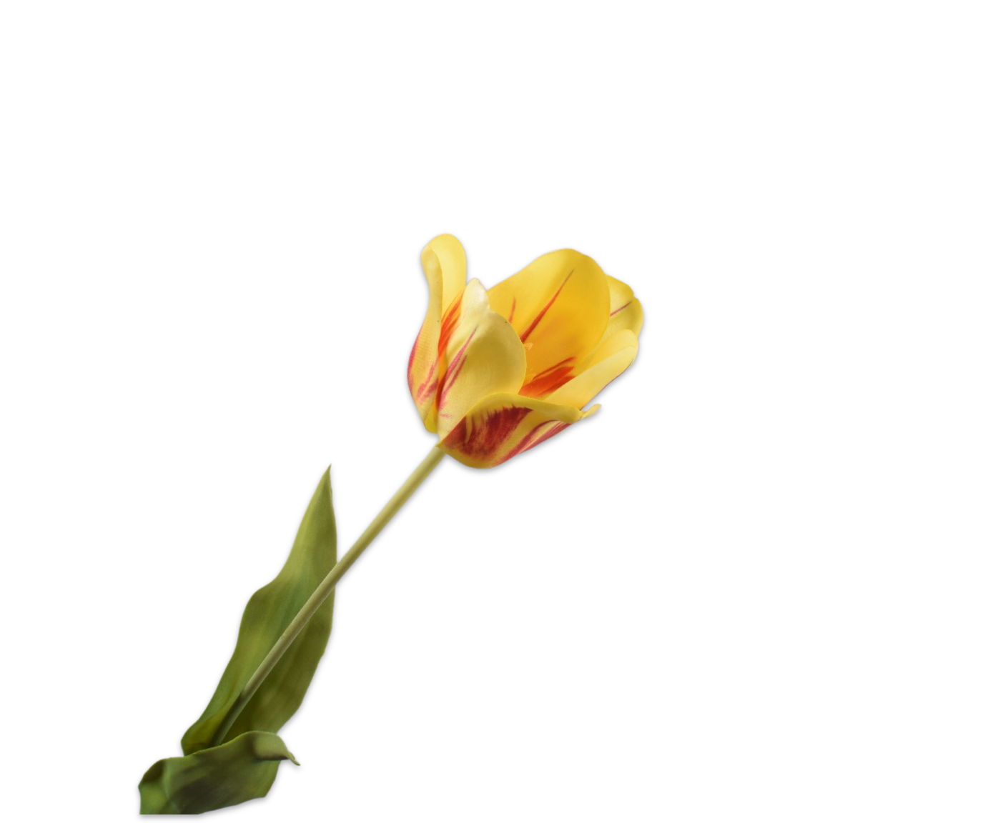 Tulp Steel Real Touch 71cm (Rood Geel)