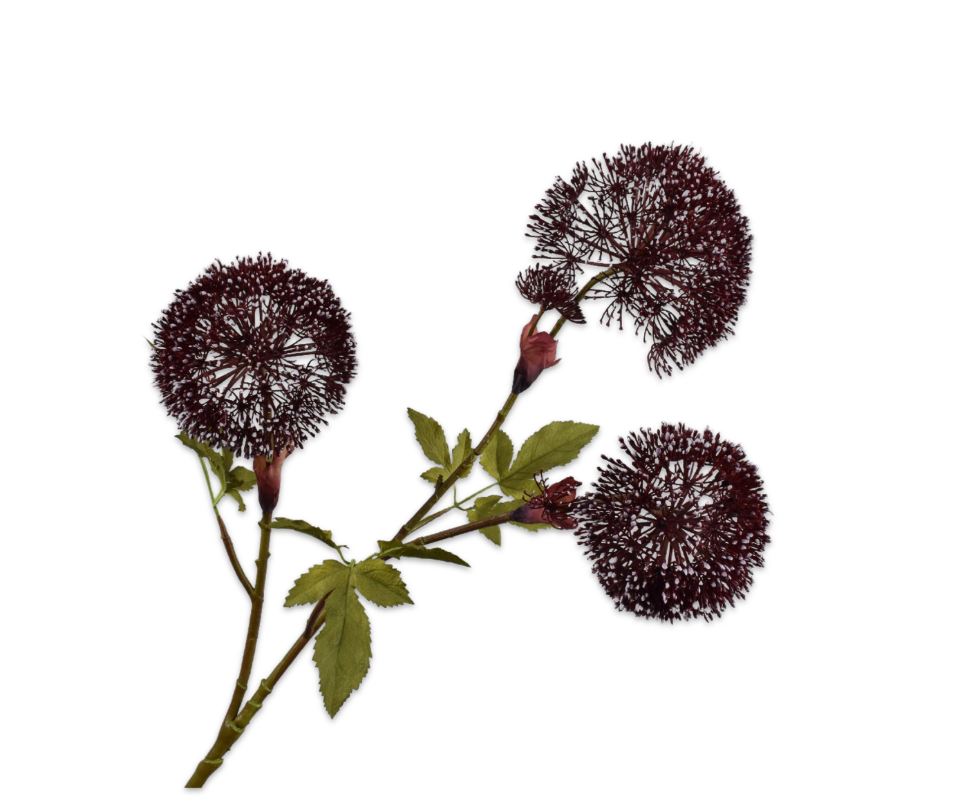 Berenklauw Tak 90cm (Bordeaux)