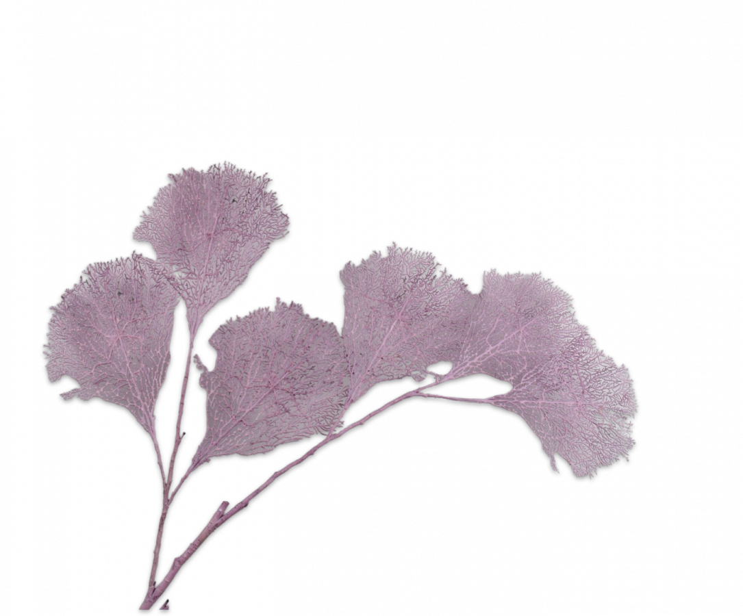 Artificial koraal tak rose L