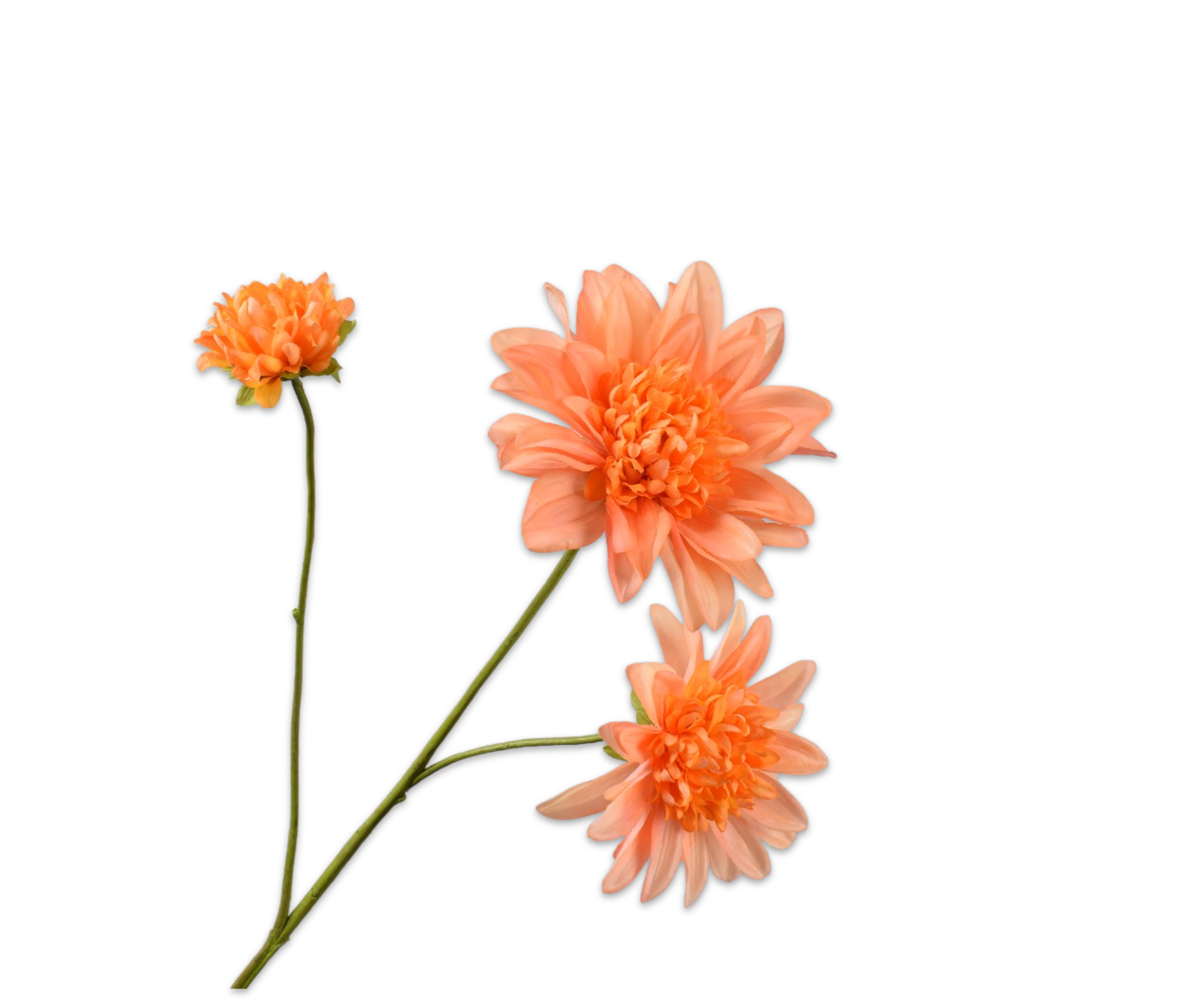 Dahlia Oranje 65 cm
