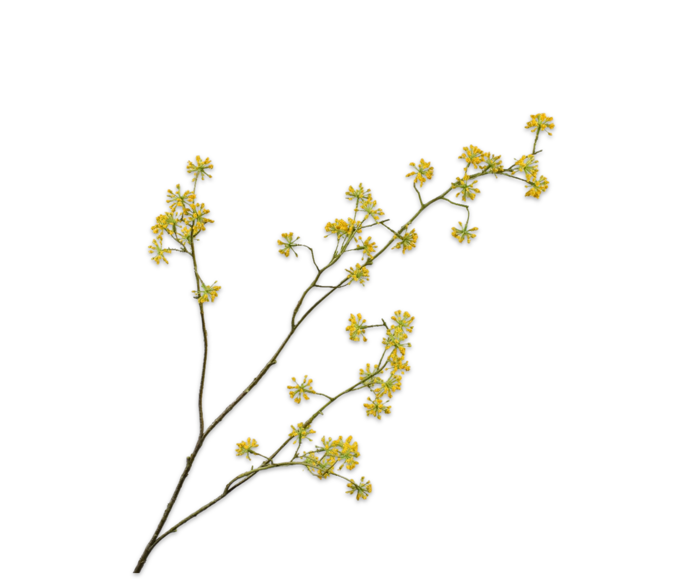 Dille tak GEEL 92 cm