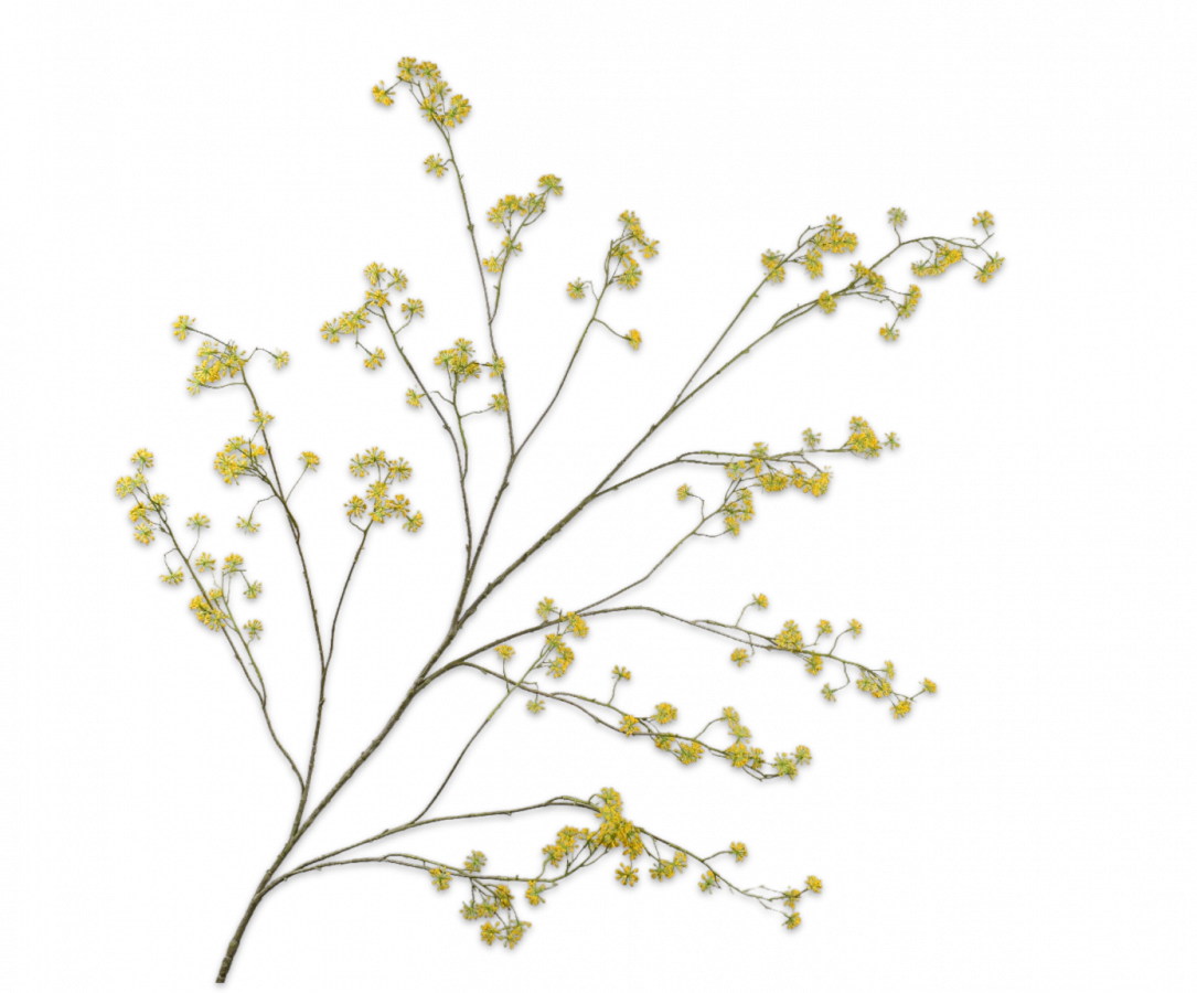 Dille tak 160 cm (Geel)