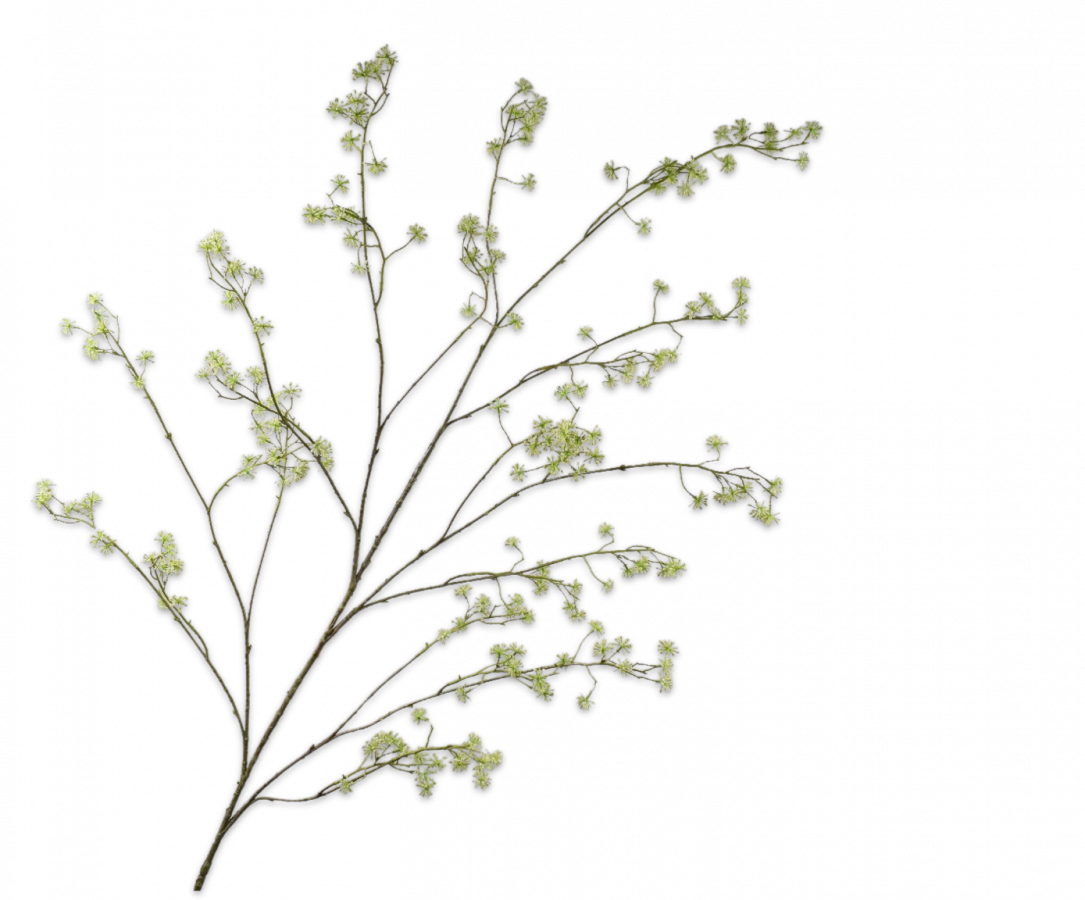 Dille tak 160 cm (Groen)