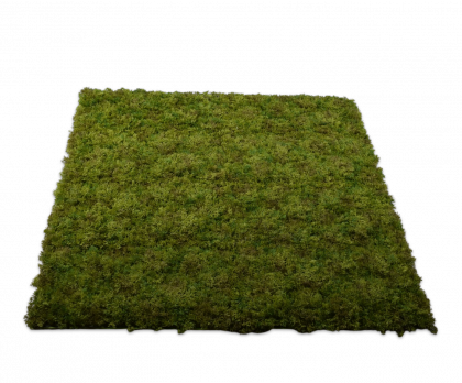 Mos plag groen 100cm