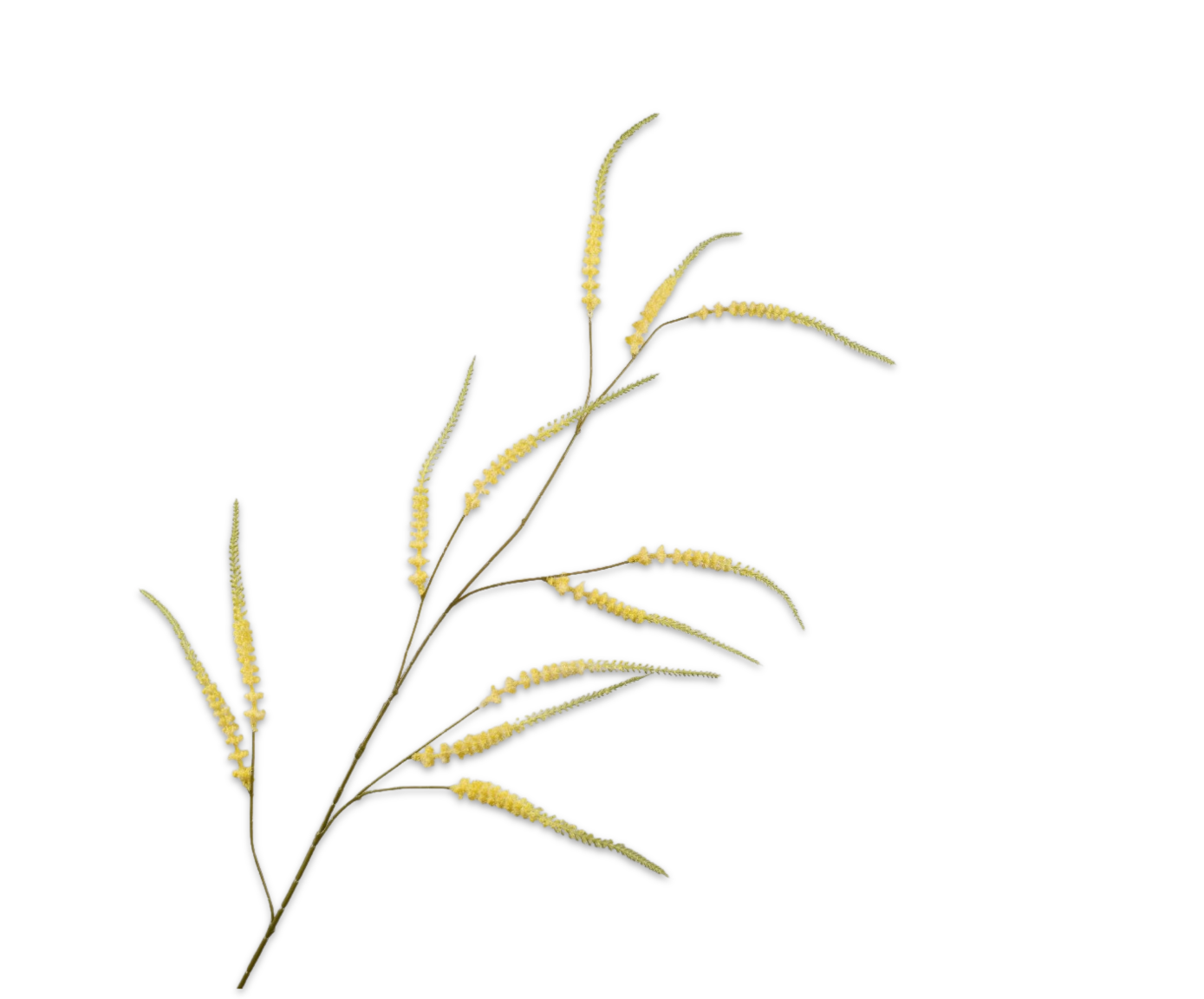 Spirea tak GEEL 140 cm