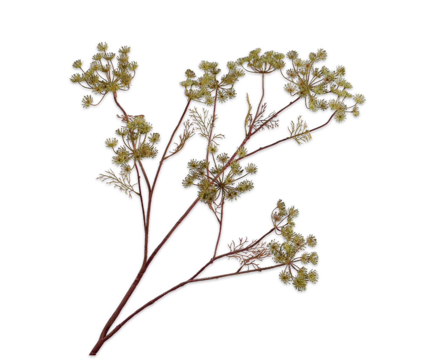 Dille Tak 140cm (Groen)