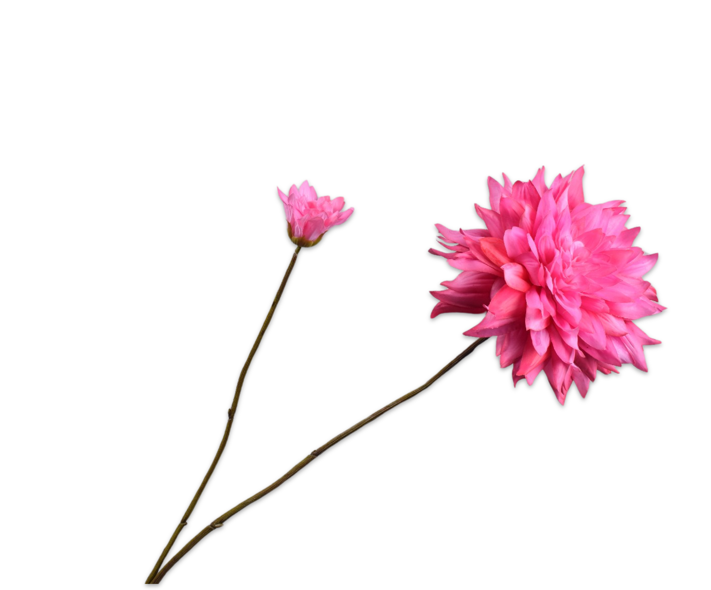 Dahlia Tak 102cm (Roze)