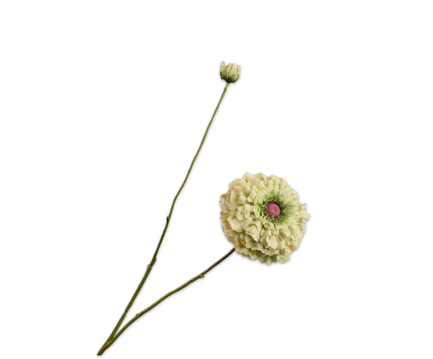 Zinnia Tak 85cm (Groen)