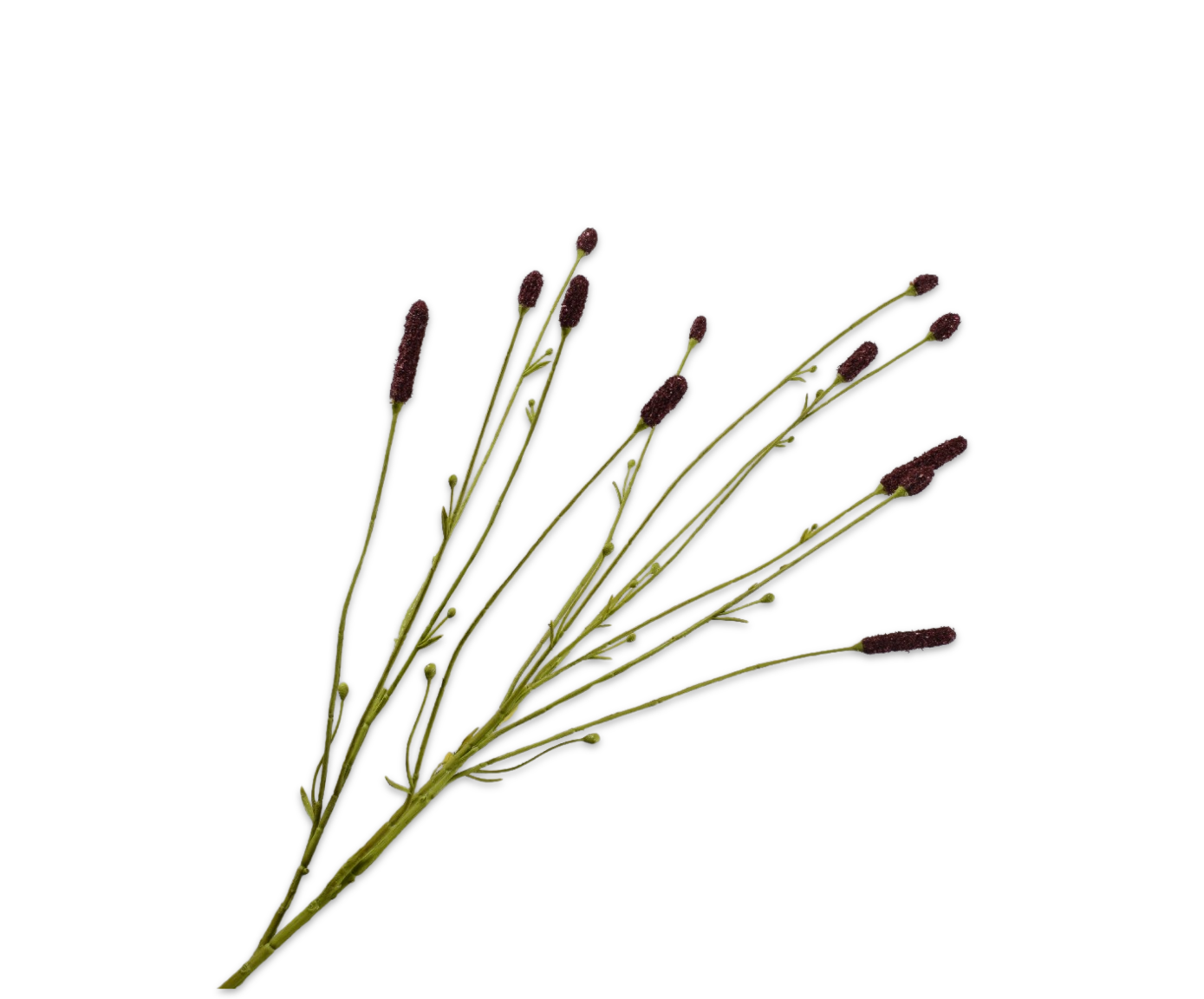 Pimpernel Tak 84cm (Bruin)