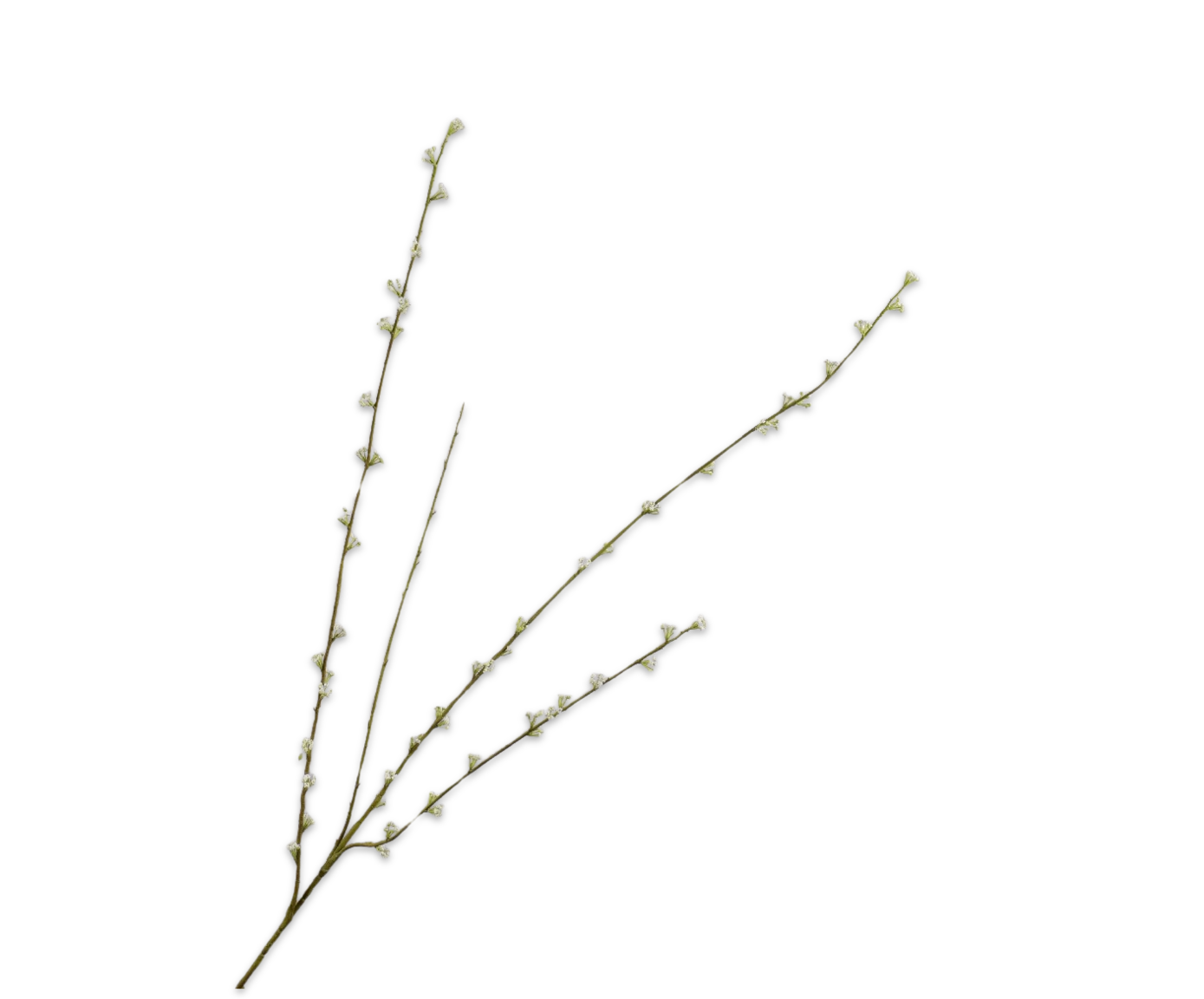 Spirea Tak 121cm (Wit)