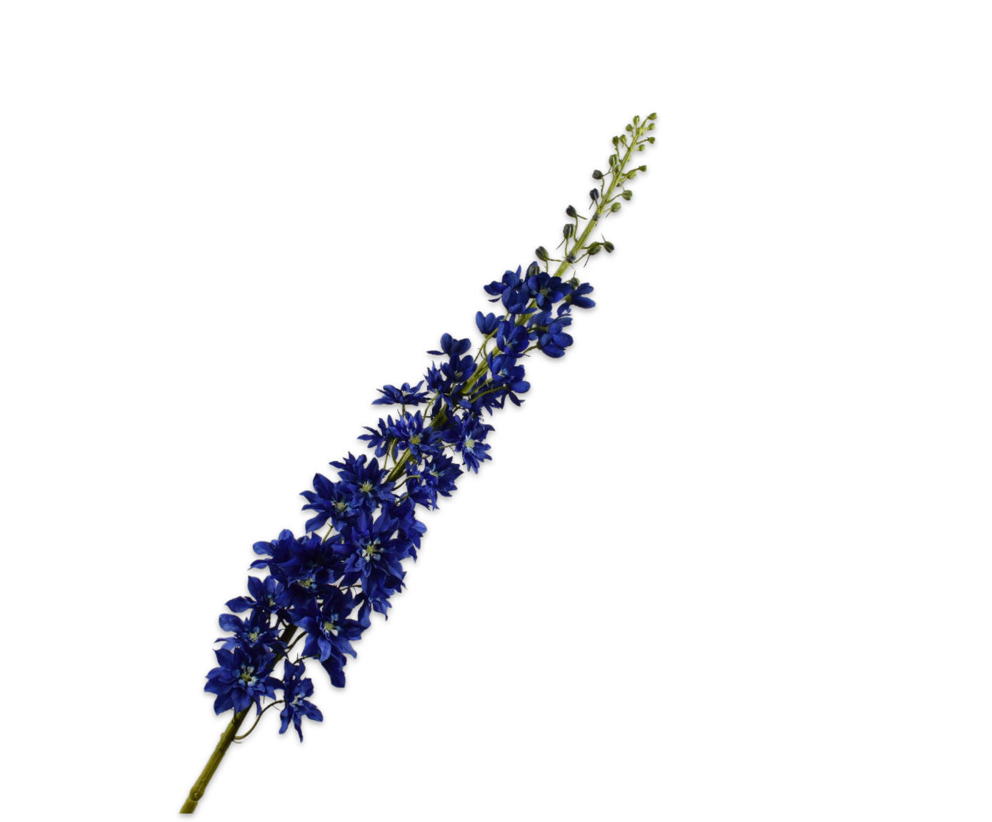 Delphinium Steel 135cm (Donker Blauw)