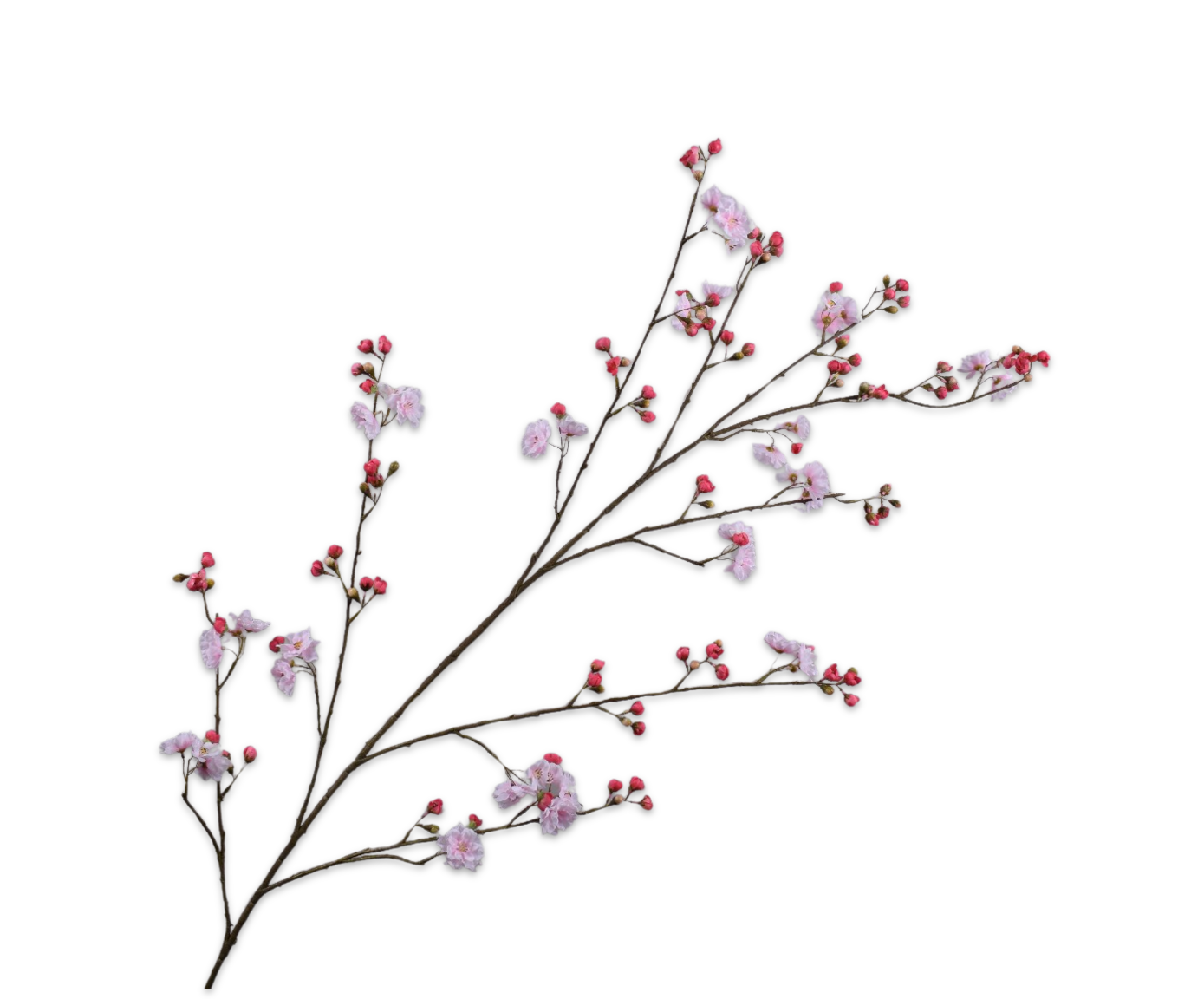 Bloesem Tak 165cm (Light Roze)