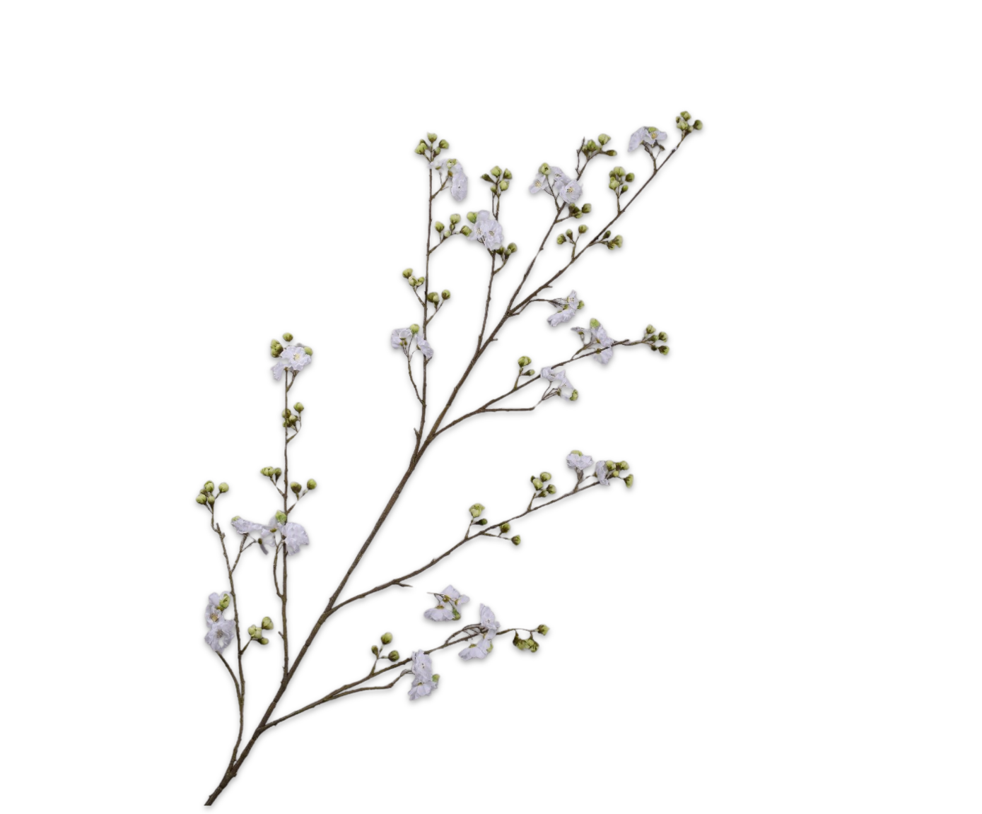 Bloesem Tak 165cm (Creme Groen)