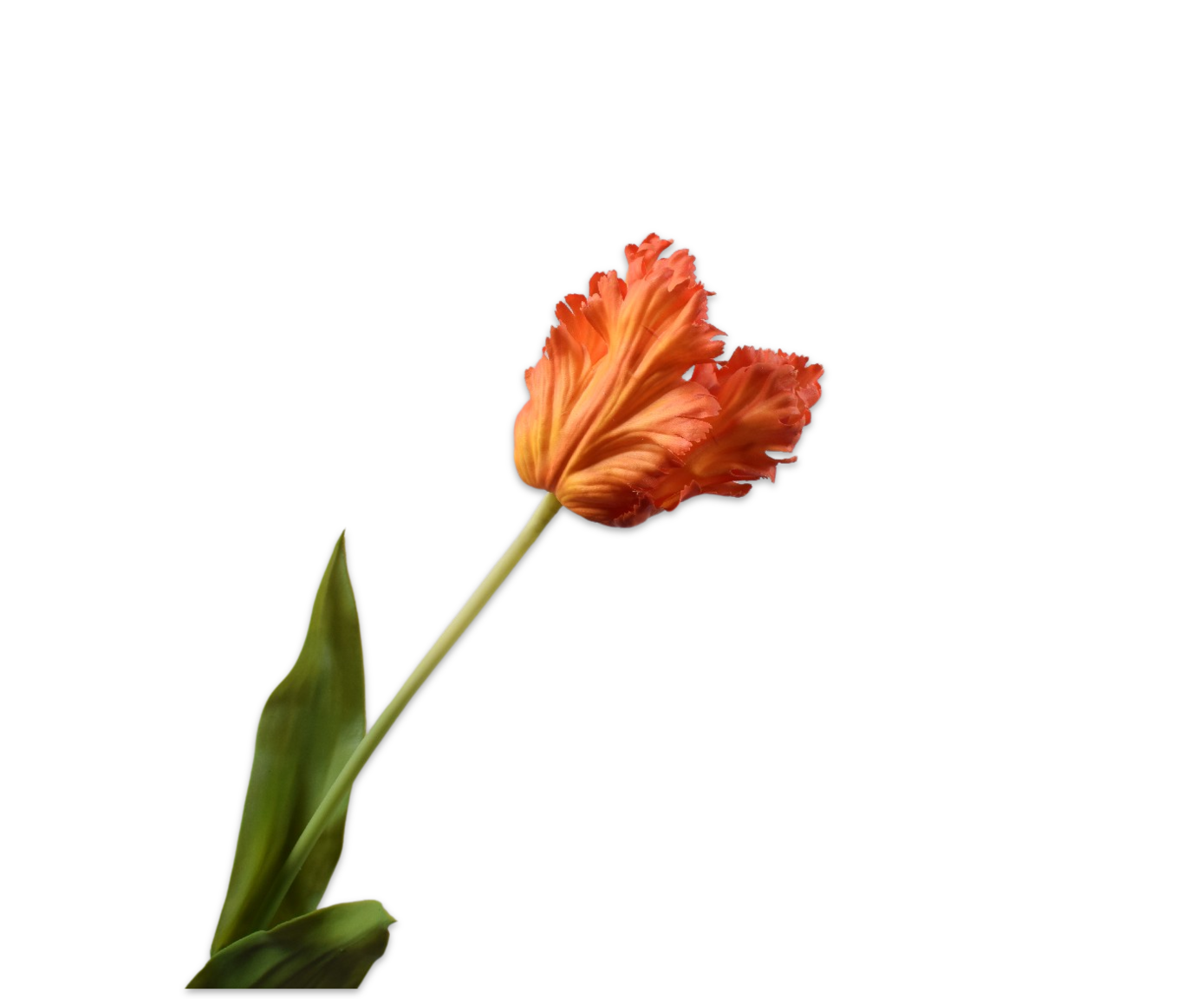 Tulp Steel Real Touch 71cm (Oranje Rood)