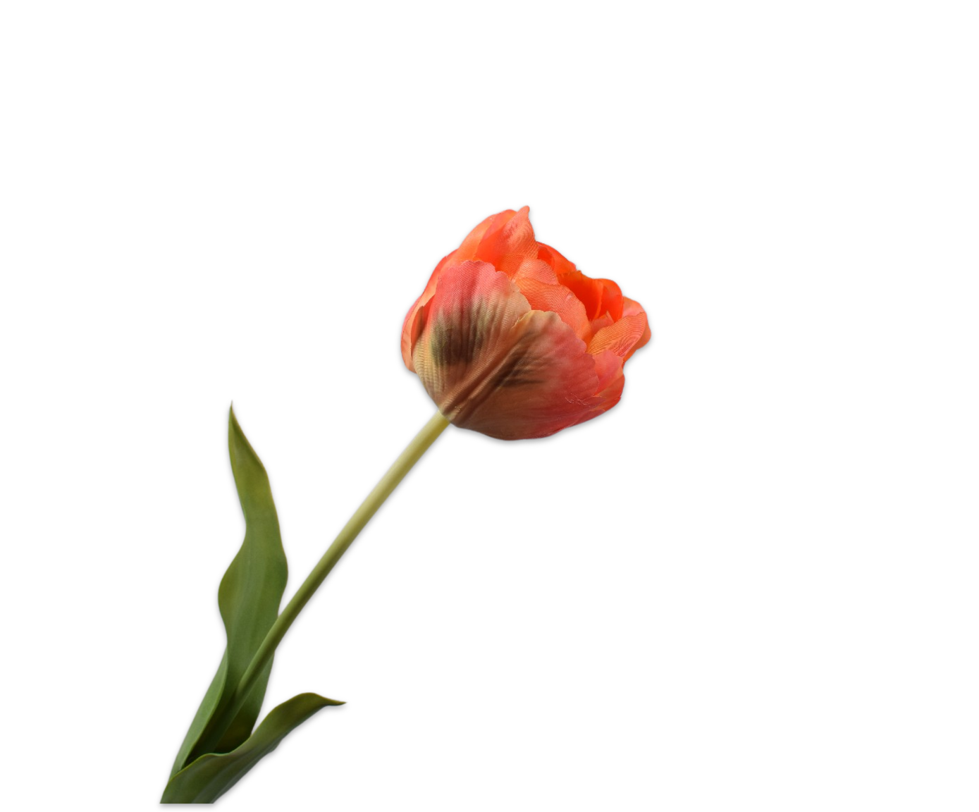 Tulp Steel 66cm (Oranje)