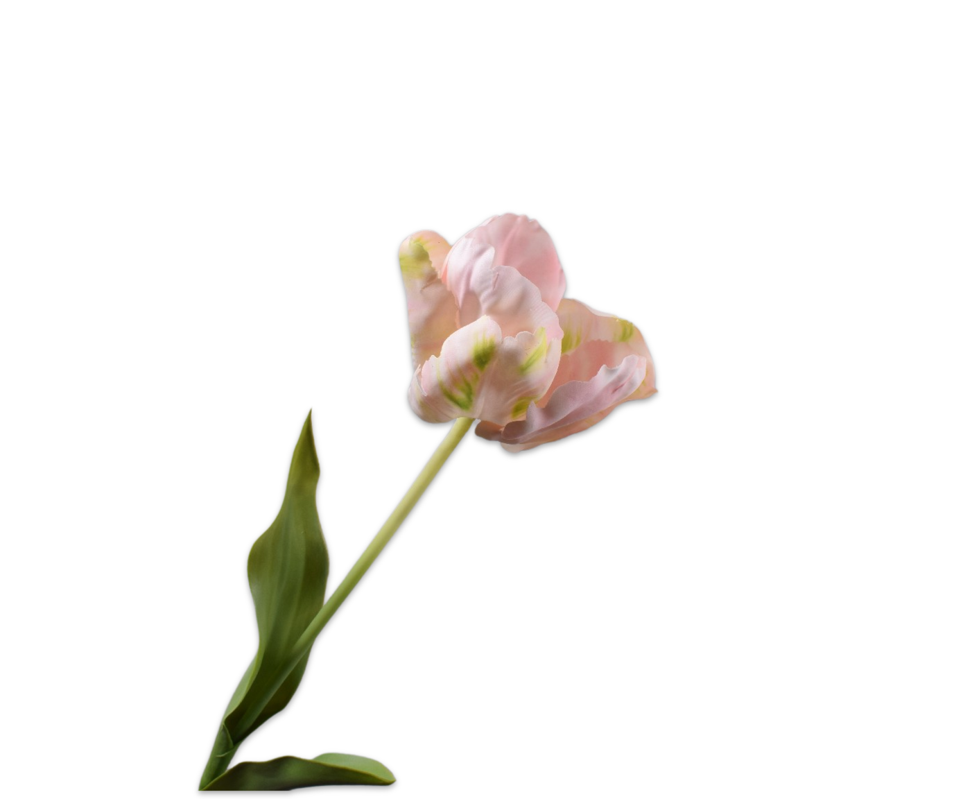 Tulp Steel 84cm (Wit Lavendel)