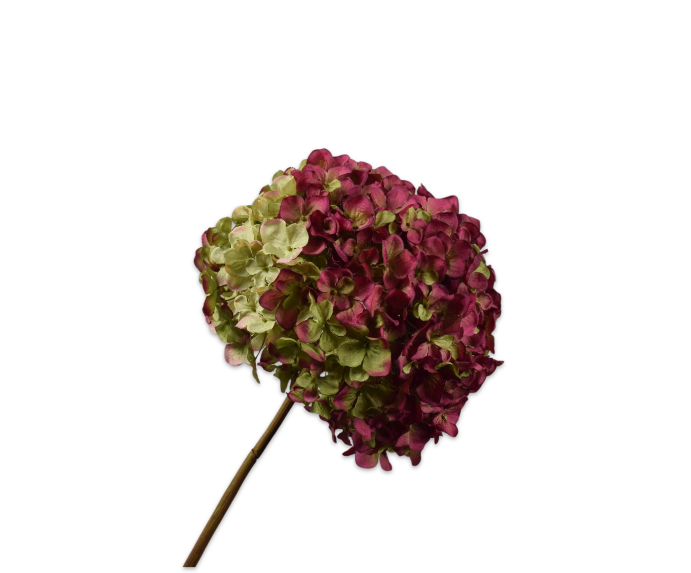 Hortensia Tak 79cm (Beauty)