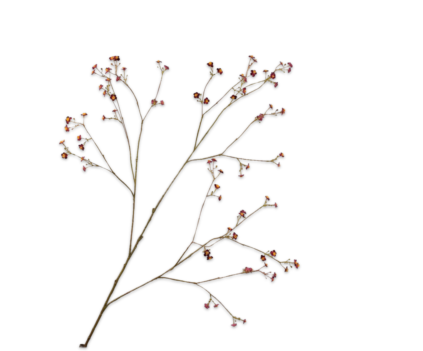 Vergeetmeniet Tak 132cm (Paars)