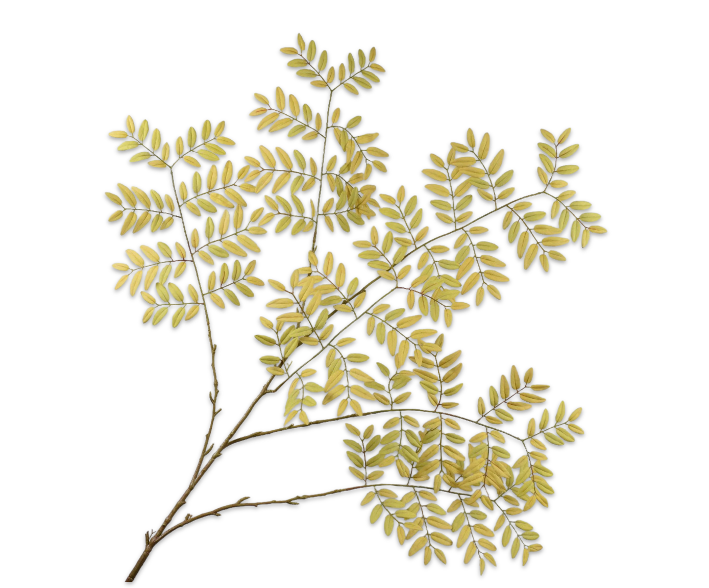 Bladtak 142cm (Groen)