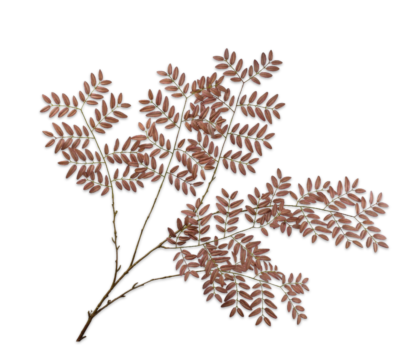 Bladtak 142cm (Bruin Groen)