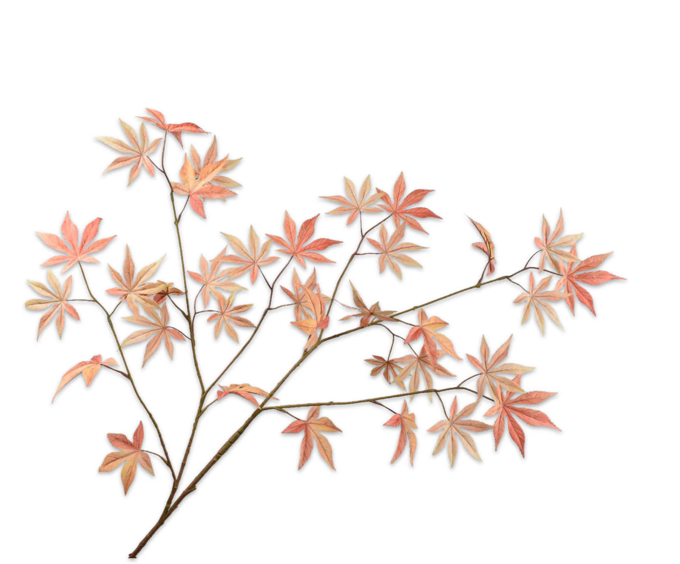 BLADTAK PZK/GL 128 cm