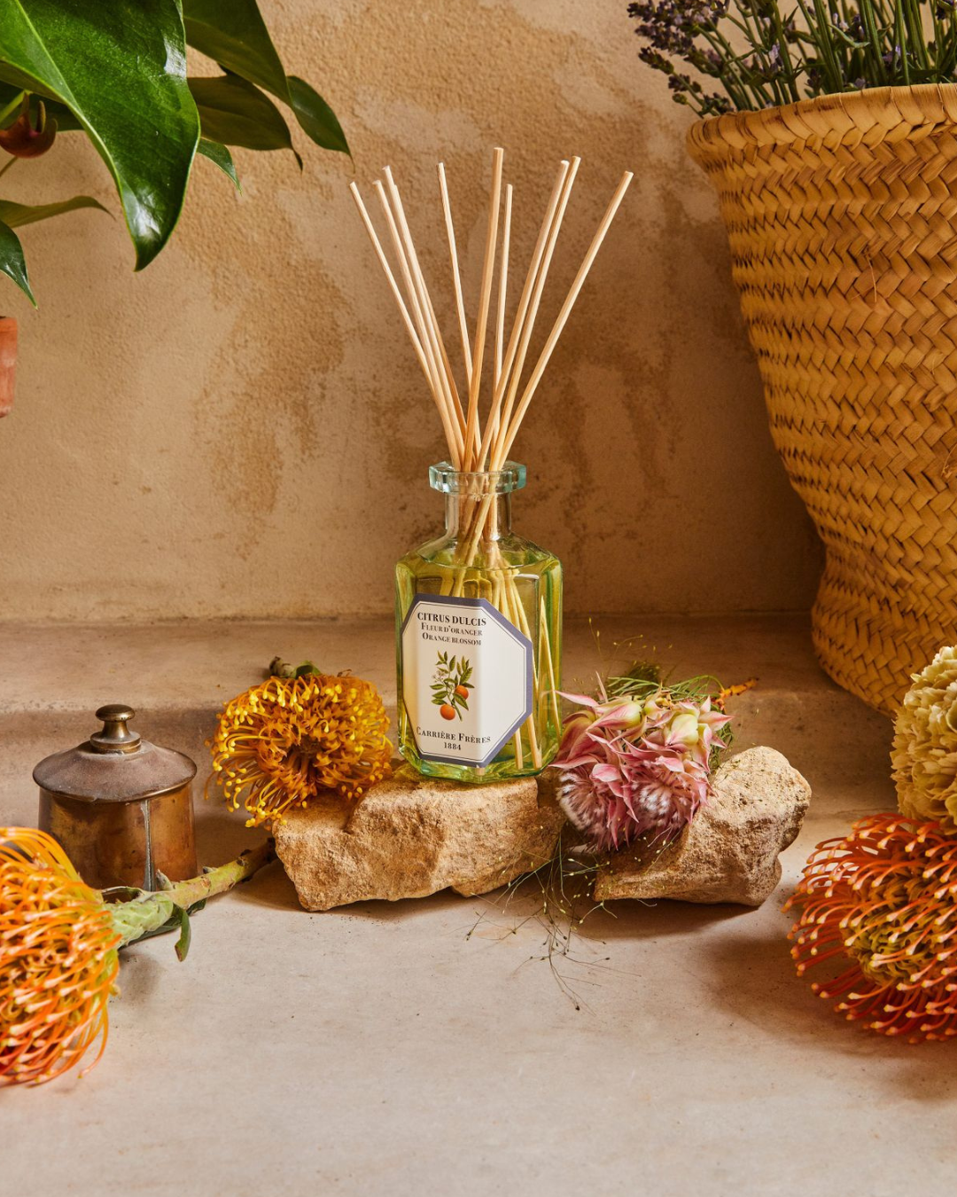 Diffuser Citrus Dulcis Orange Blossom