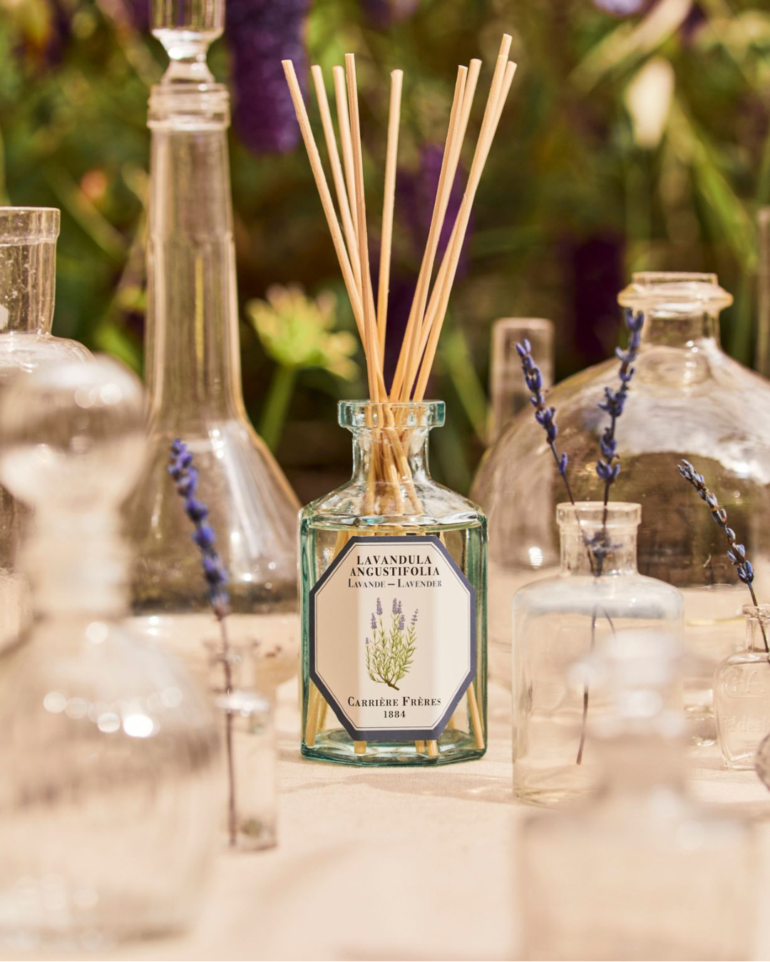 Diffuser Lavandula Angustifolia Lavender