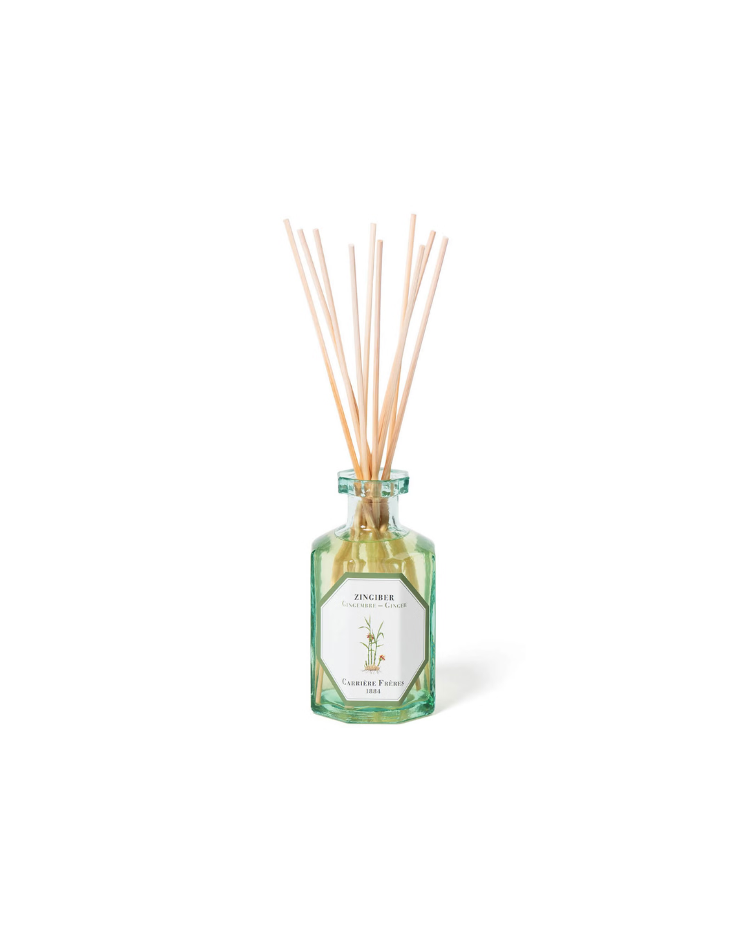 Diffuser Zingiber Ginger