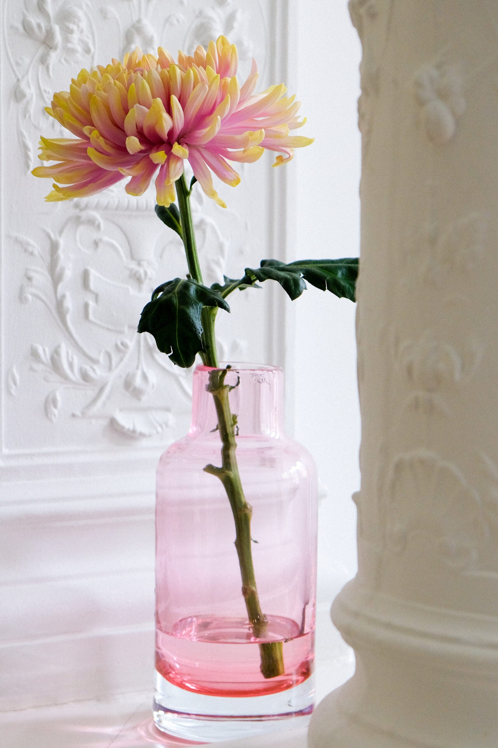 Fred Bottle High (Rose)