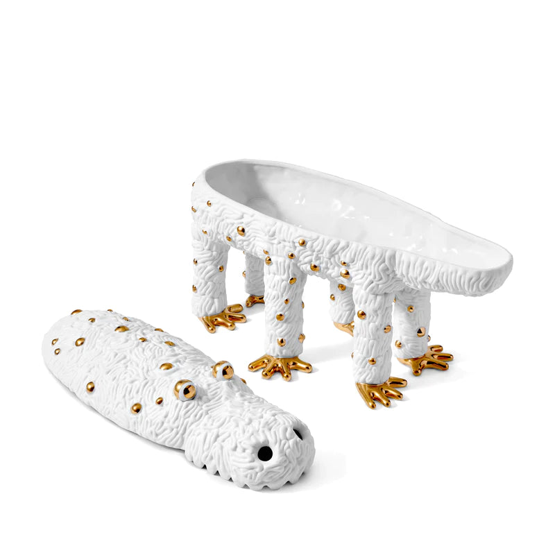 Haas Pedro The Croc Box (White Gold)