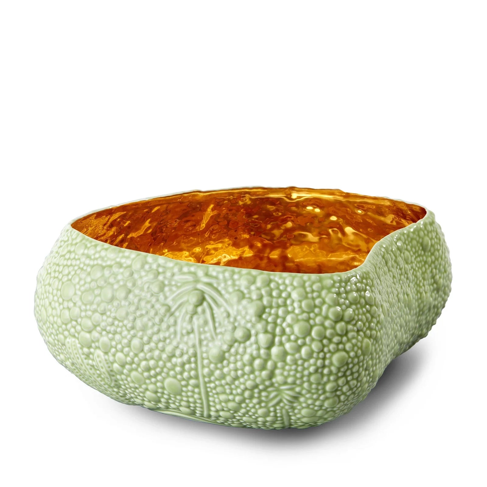 Haas Mojave Desert Bowl L (Matcha/Gold)