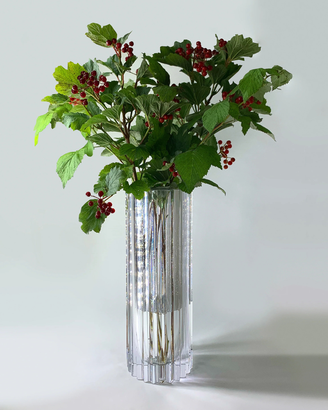 Hurricane Crystal Lily (Strict)