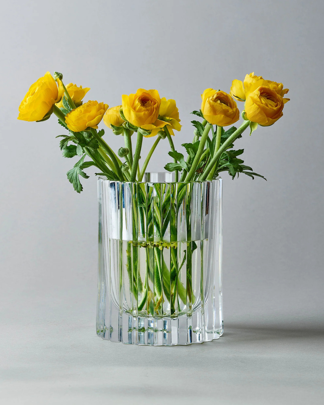 Hurricane Crystal M (Strict)