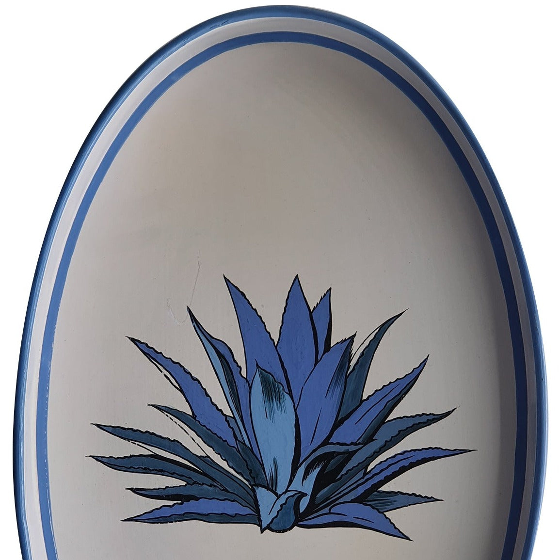 Wit dienblad met blauwe aloë vera