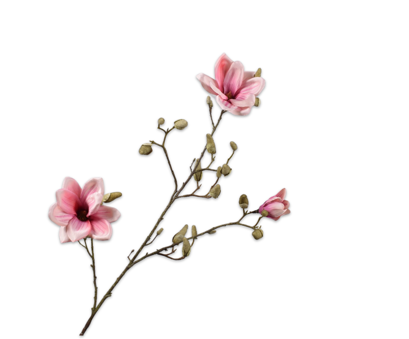 Magnolia tak mauve 103 cm