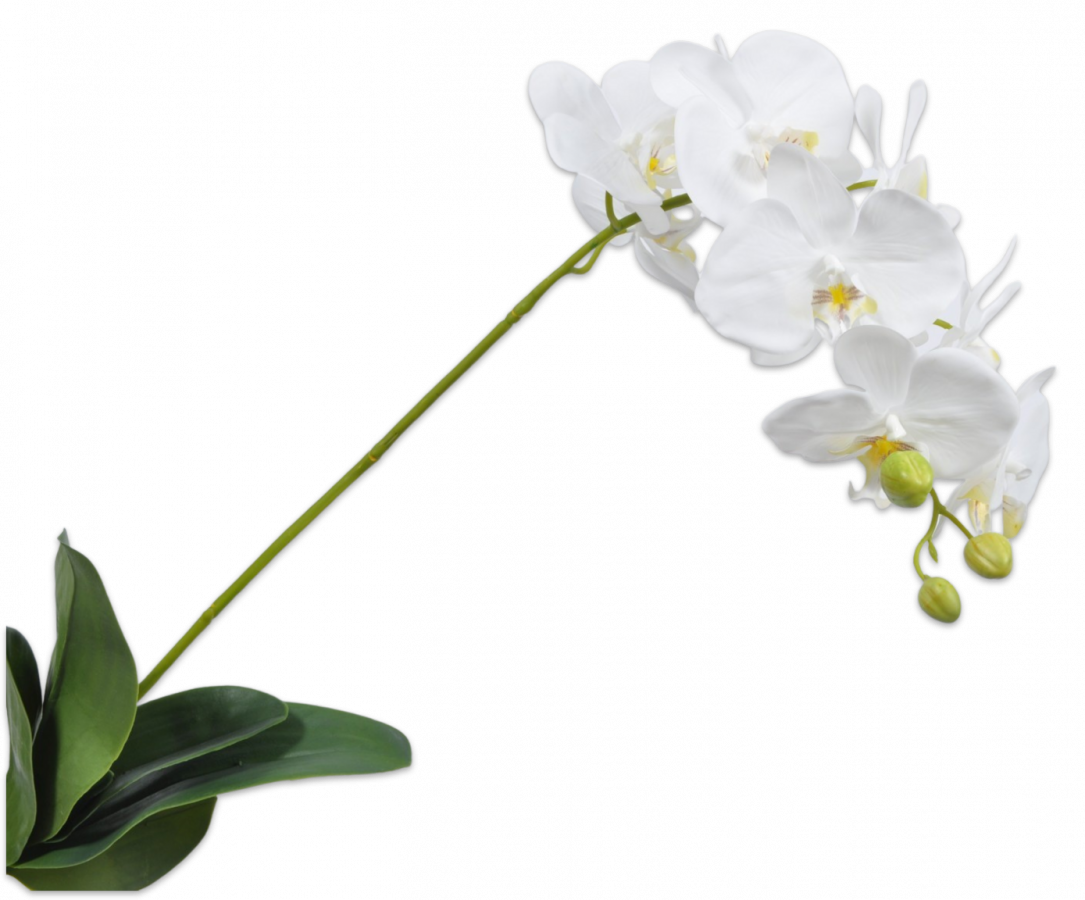 Artificial Orchidee (Wit) 100cm