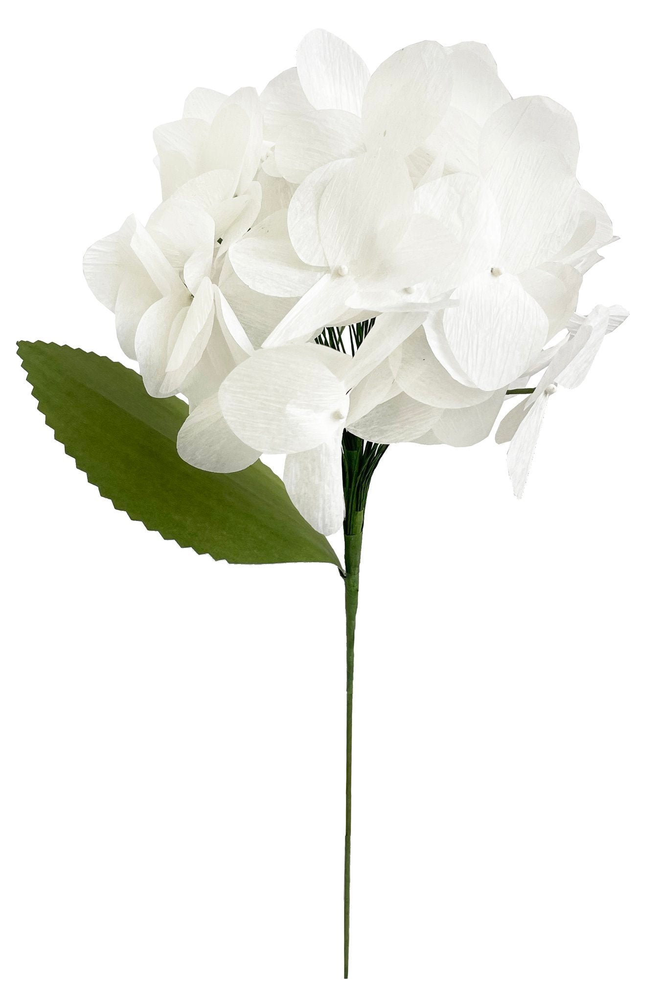 Papieren Bloem Hydrangea (White)